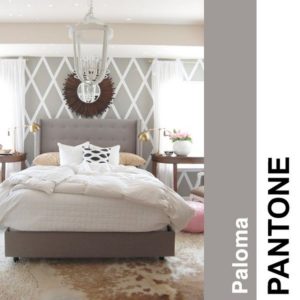 Paloma, grey, Pantone, colour 2014