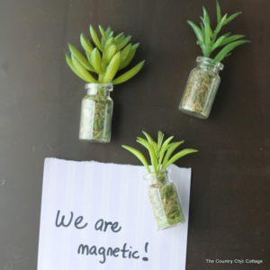 succulent-mason-jar-magnets-001