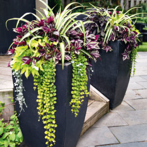 outdoor pots, planters, garden