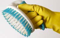 Spring Green Cleaning Tips
