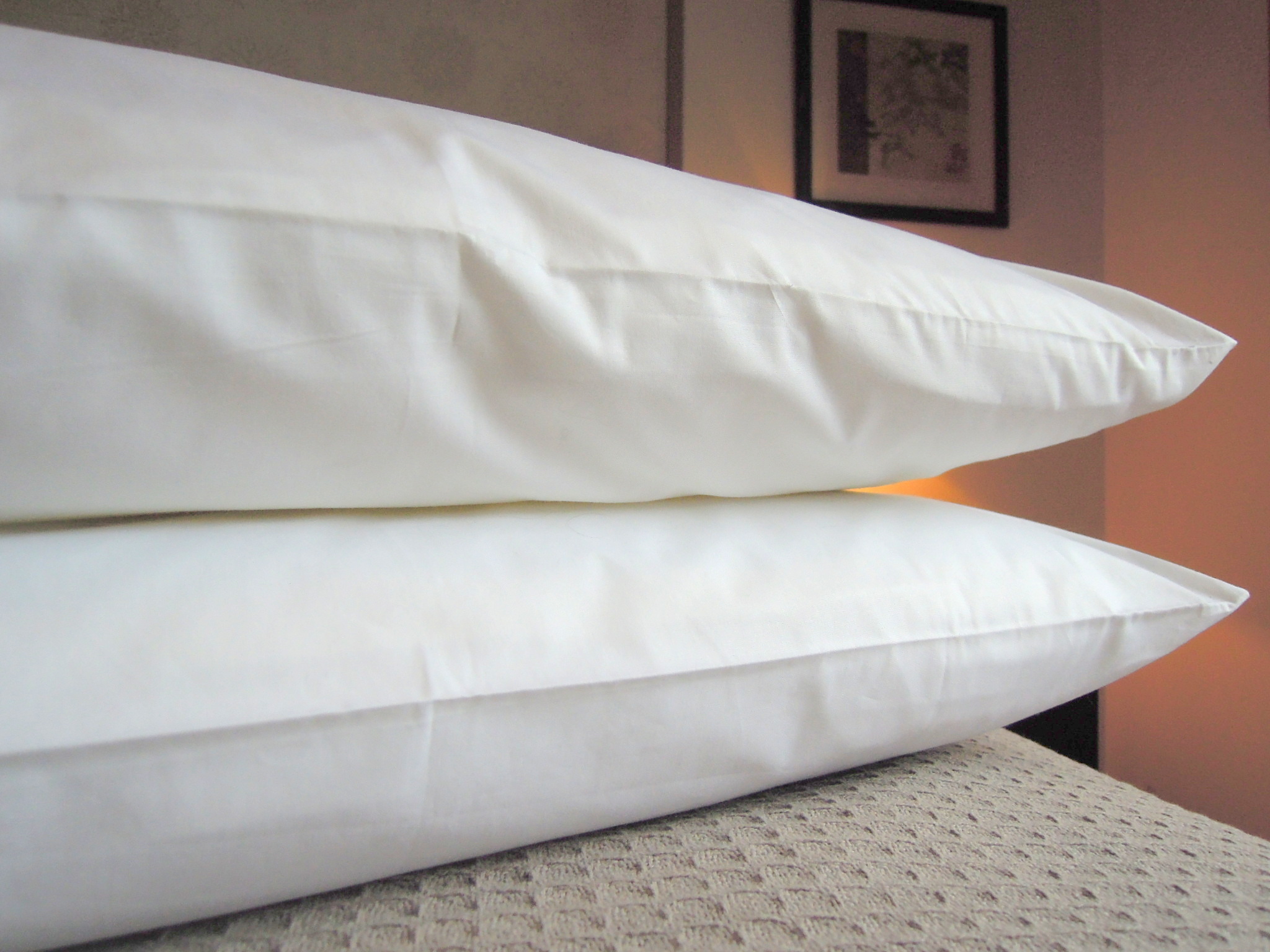 March Giveaway – Organic Cotton Pillow Protectors