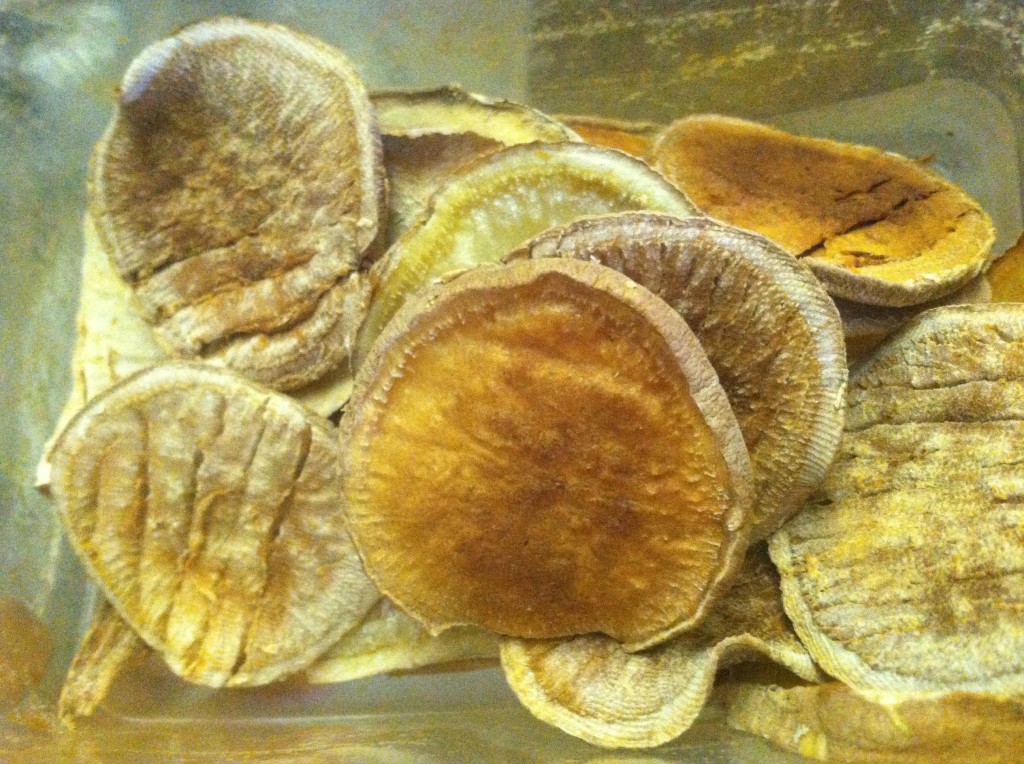 How to Make Dog Yam Treats NikkiDesigns