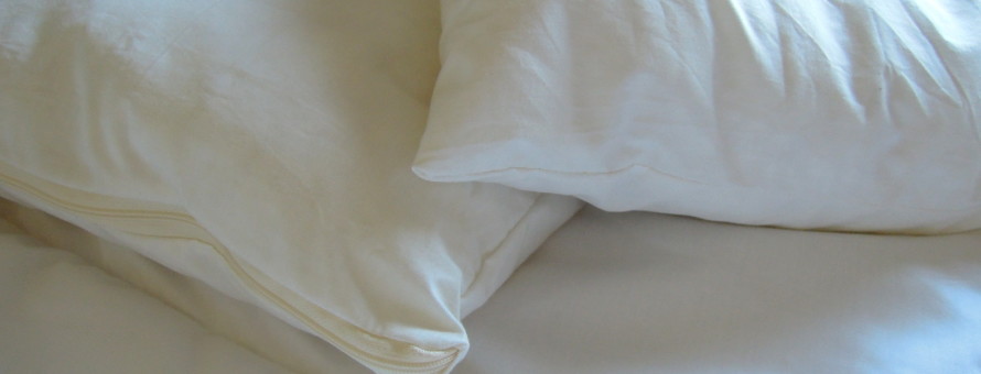 wool, buy, Canada, pillows