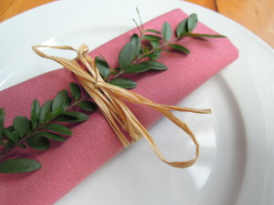 hemp, napkin, pink, organic