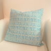 pillow, amy butler, organic