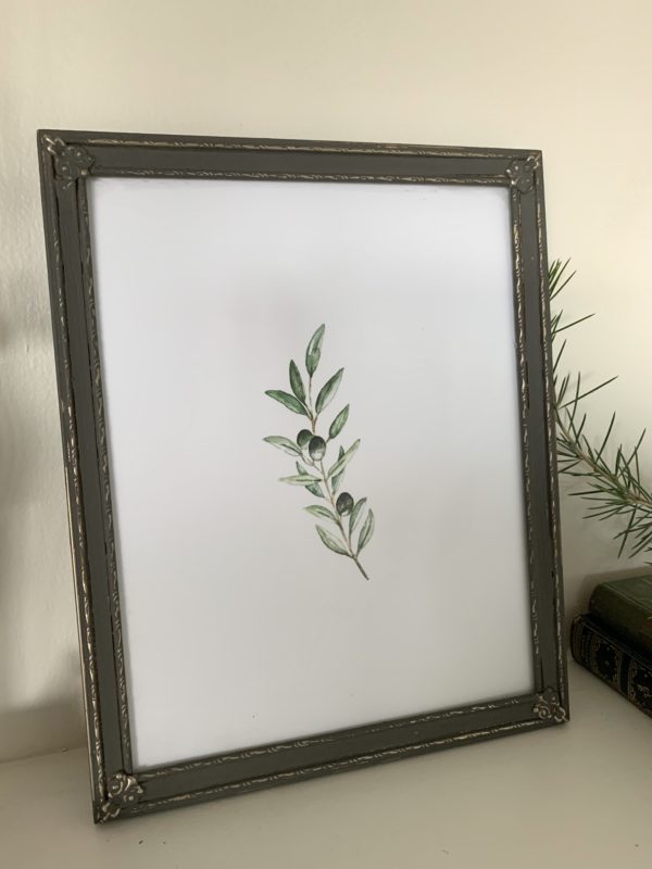 Olive branch art print