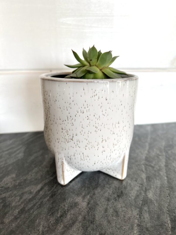 Footed speckled plant pot