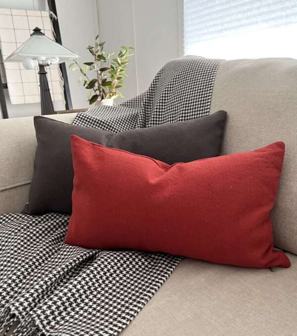 cozy pillows and throw