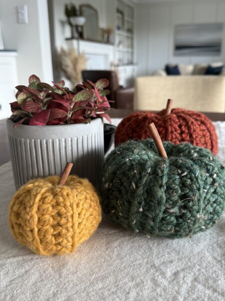 knitted pumpkins in yellow, green and red with a plant in a grey concrete planter